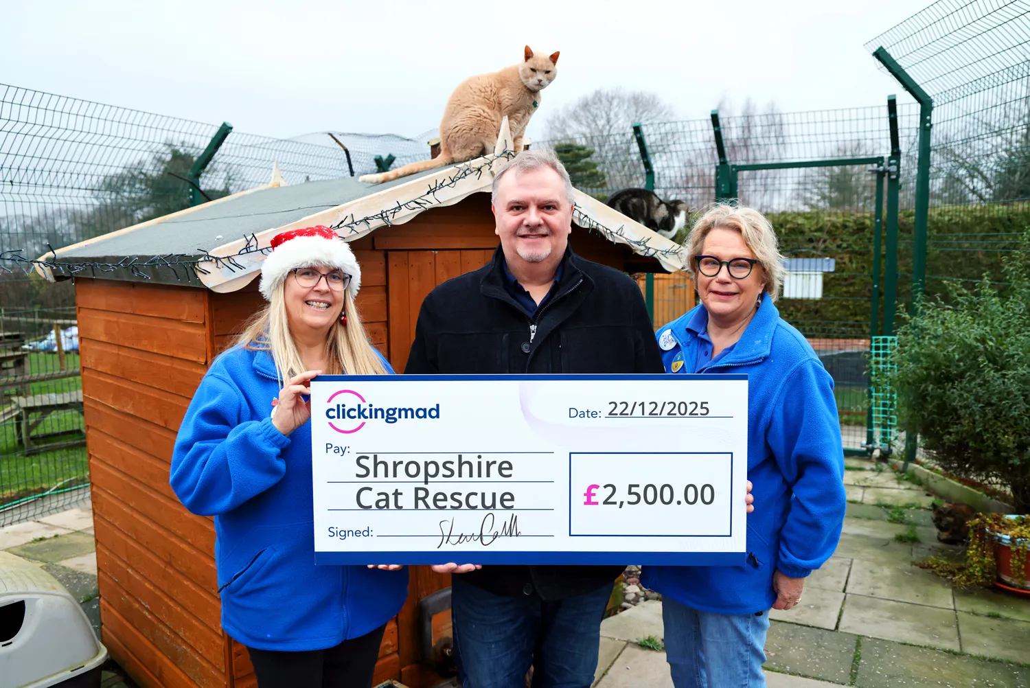 Shaun Carvill at the Shropshire Cat Rescue